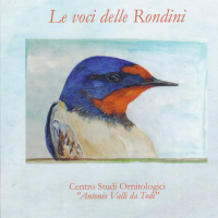 Le voci delle Rondini
